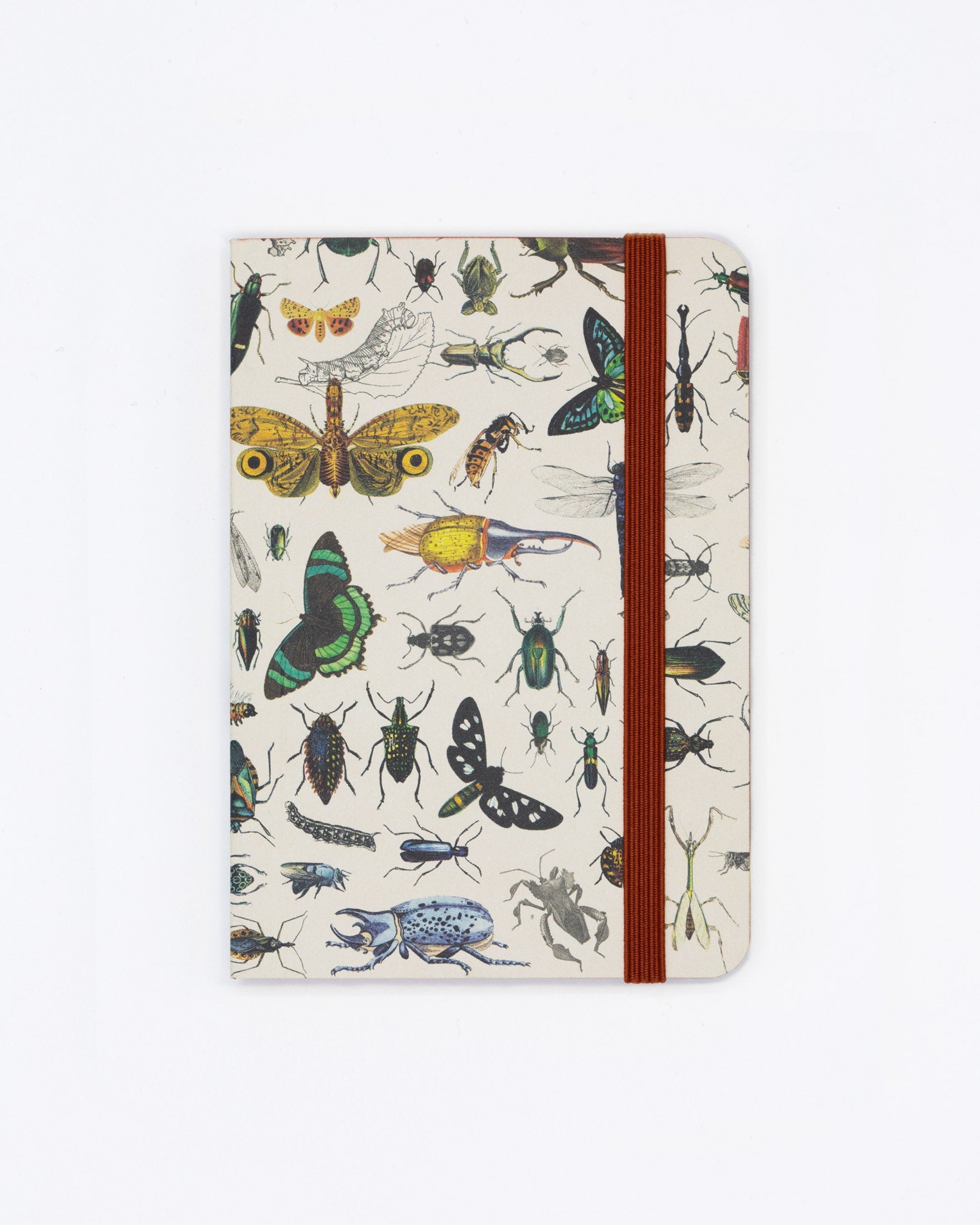 Butterflies & Beetles Observation Softcover