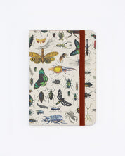 Butterflies & Beetles Observation Softcover