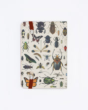 Butterflies & Beetles Observation Softcover