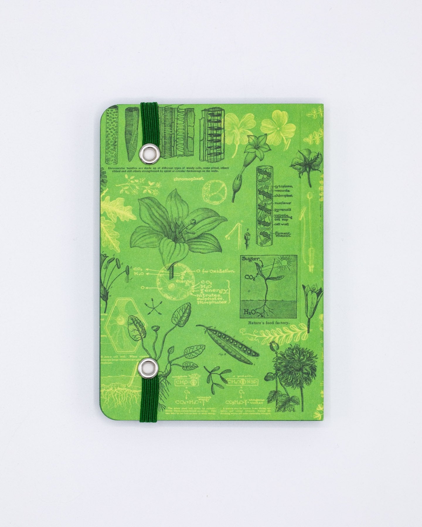 Botanical Reverie Observation Mini Softcover Notebook