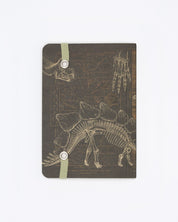 Dinosaur Bones Observation Softcover