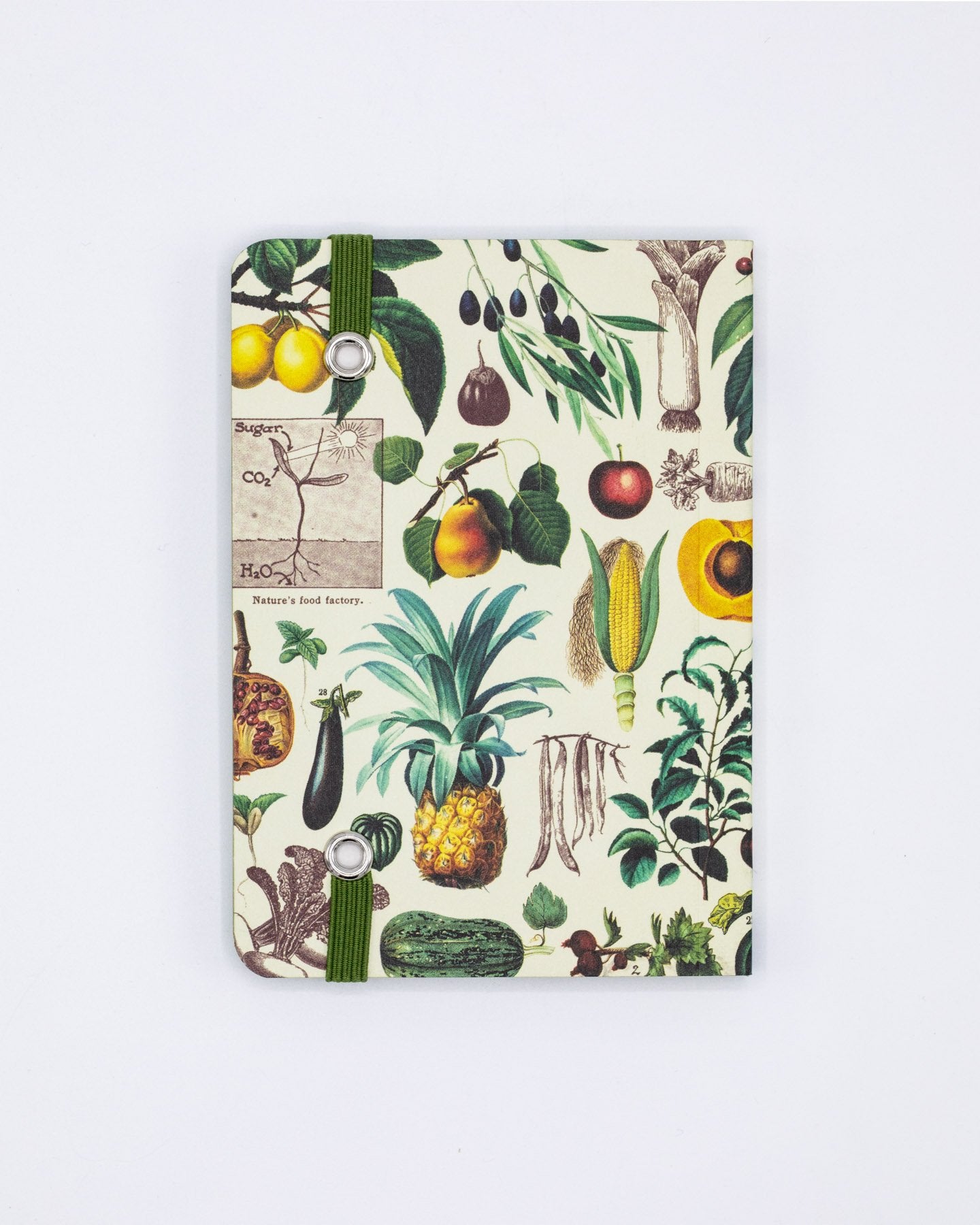 Edible Flora Observation Mini Softcover Notebook