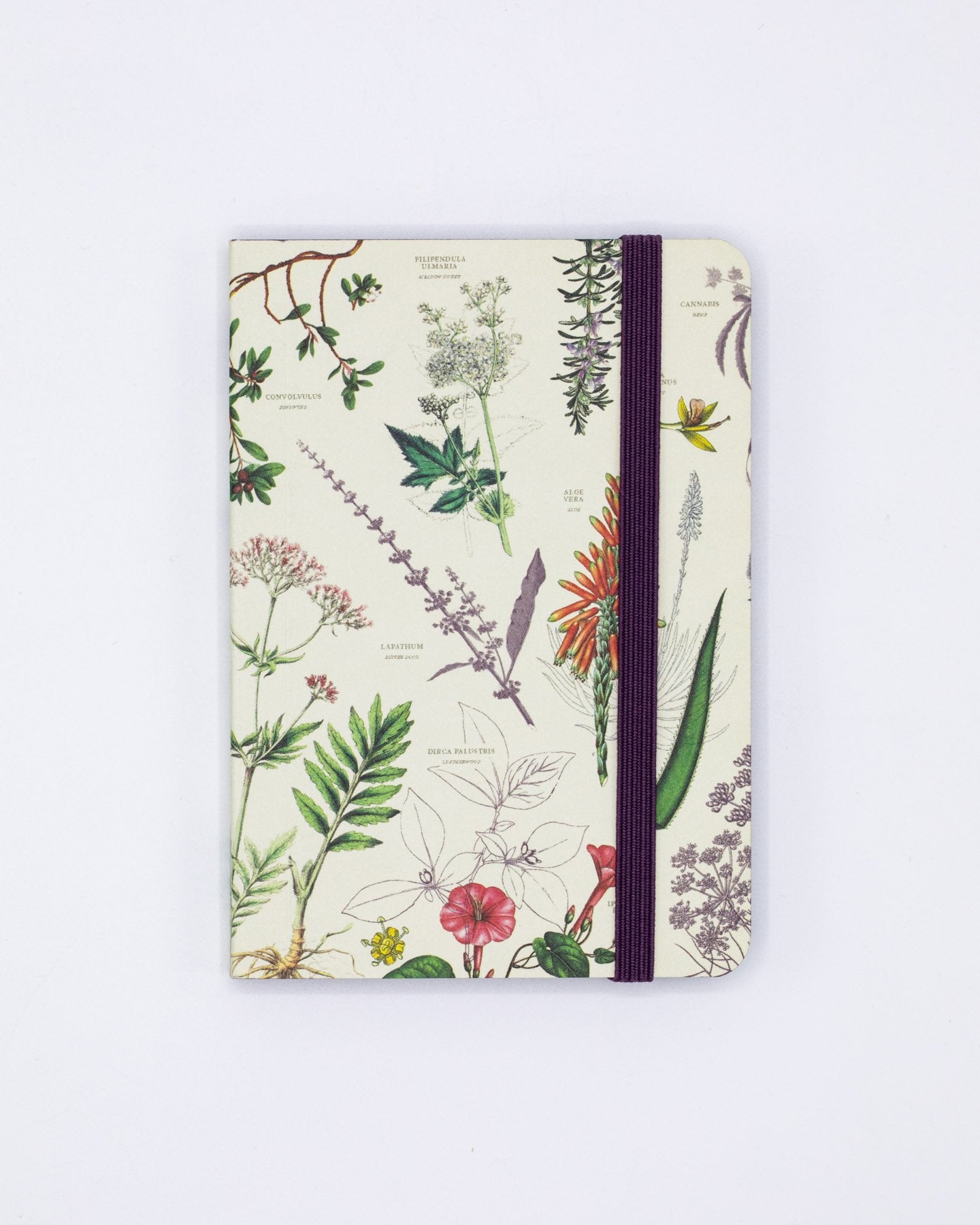 Medicinal Botany Observation Mini Softcover Notebook