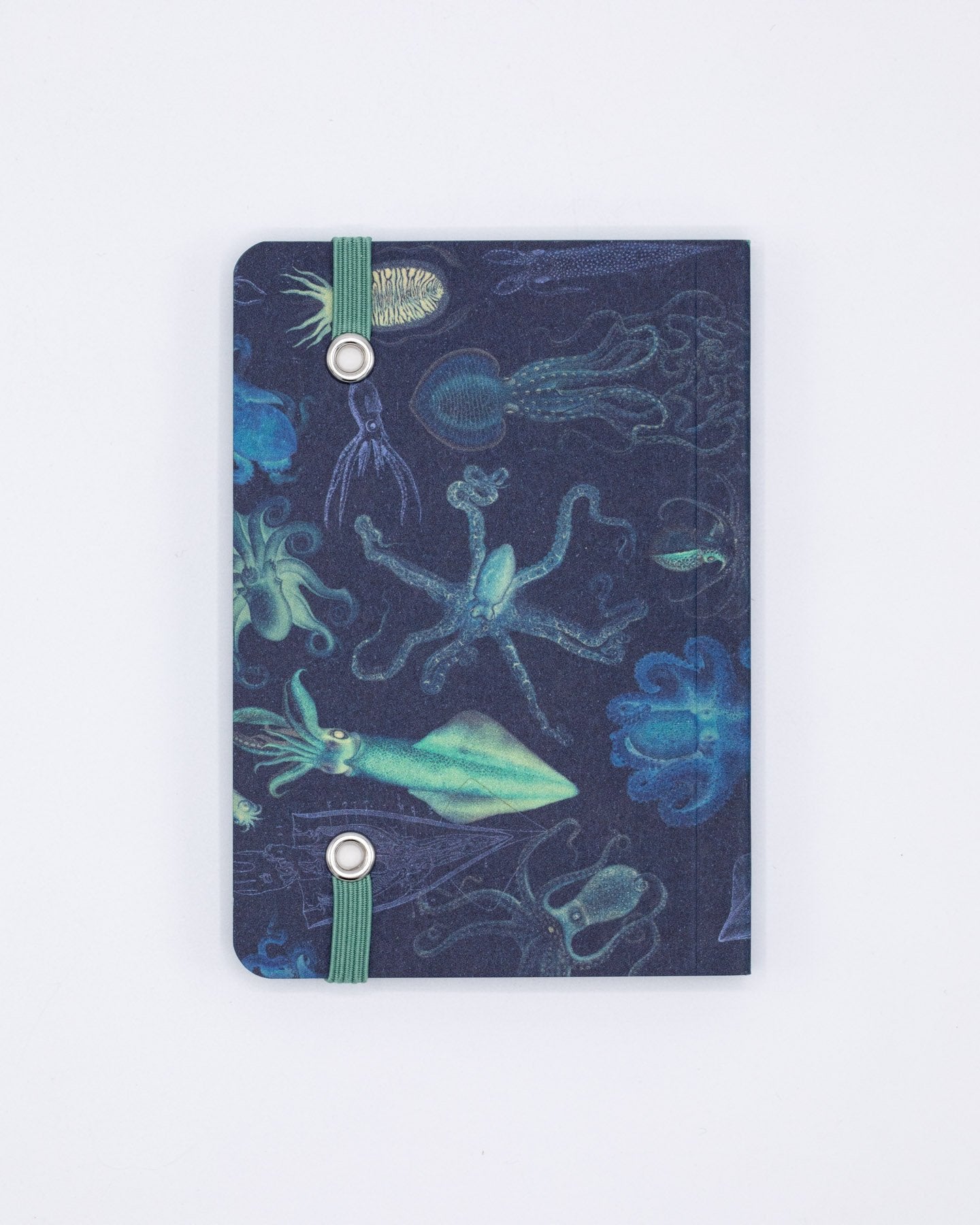 Sea Monsters: Octopus & Squid Observation Mini Softcover Notebook