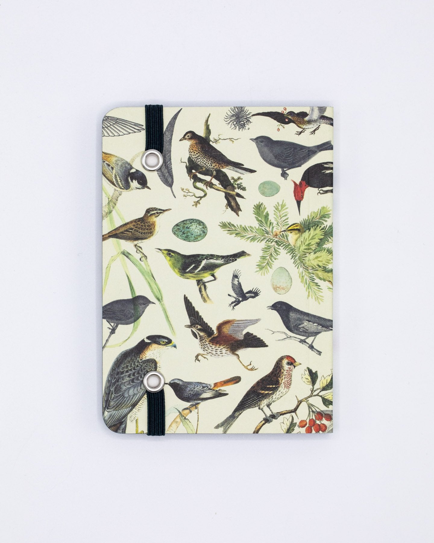 Birds & Feathers Observation Mini Softcover Notebook