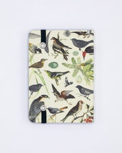 Birds & Feathers Observation Mini Softcover Notebook