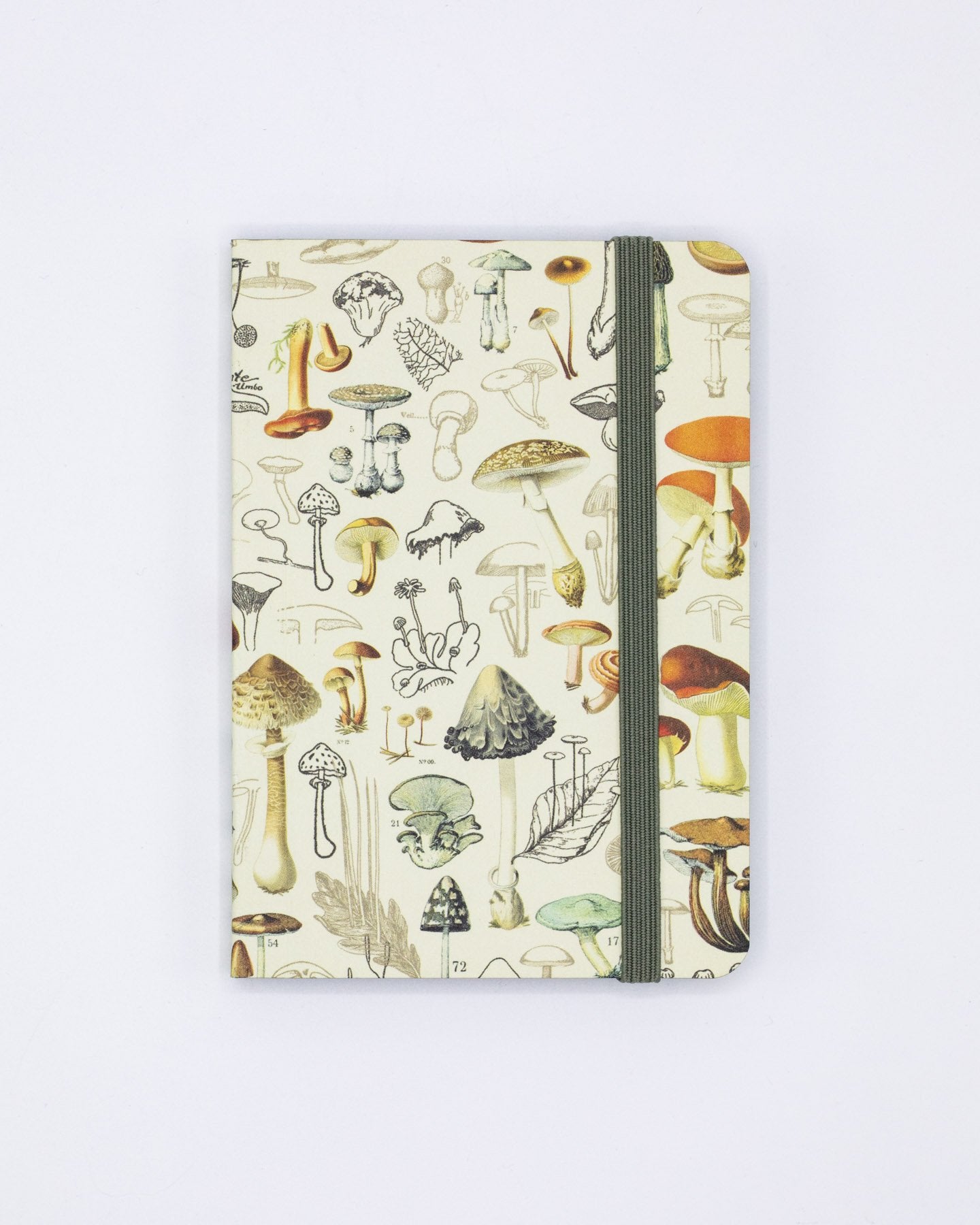 Woodland Mushrooms Observation Mini Softcover Notebook
