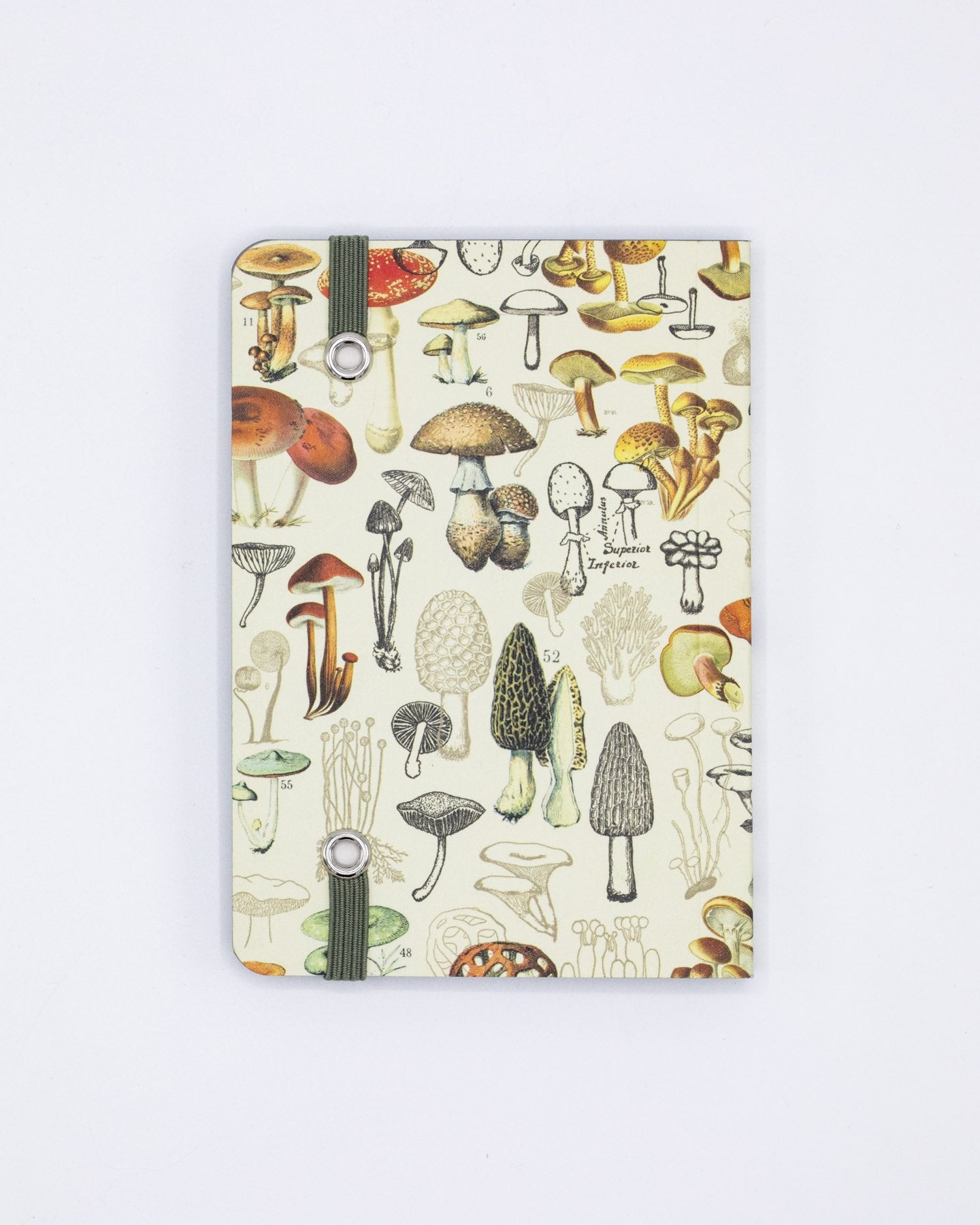 Woodland Mushrooms Observation Mini Softcover Notebook