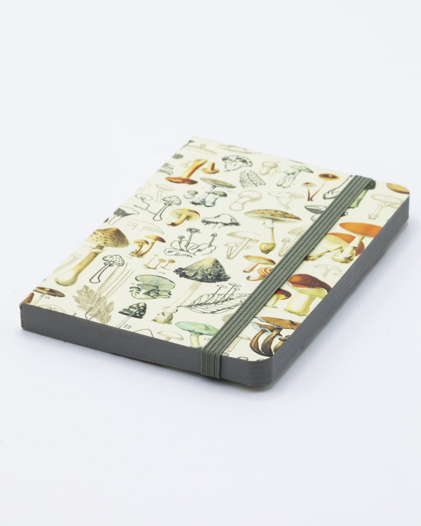 Woodland Mushrooms Observation Mini Softcover Notebook