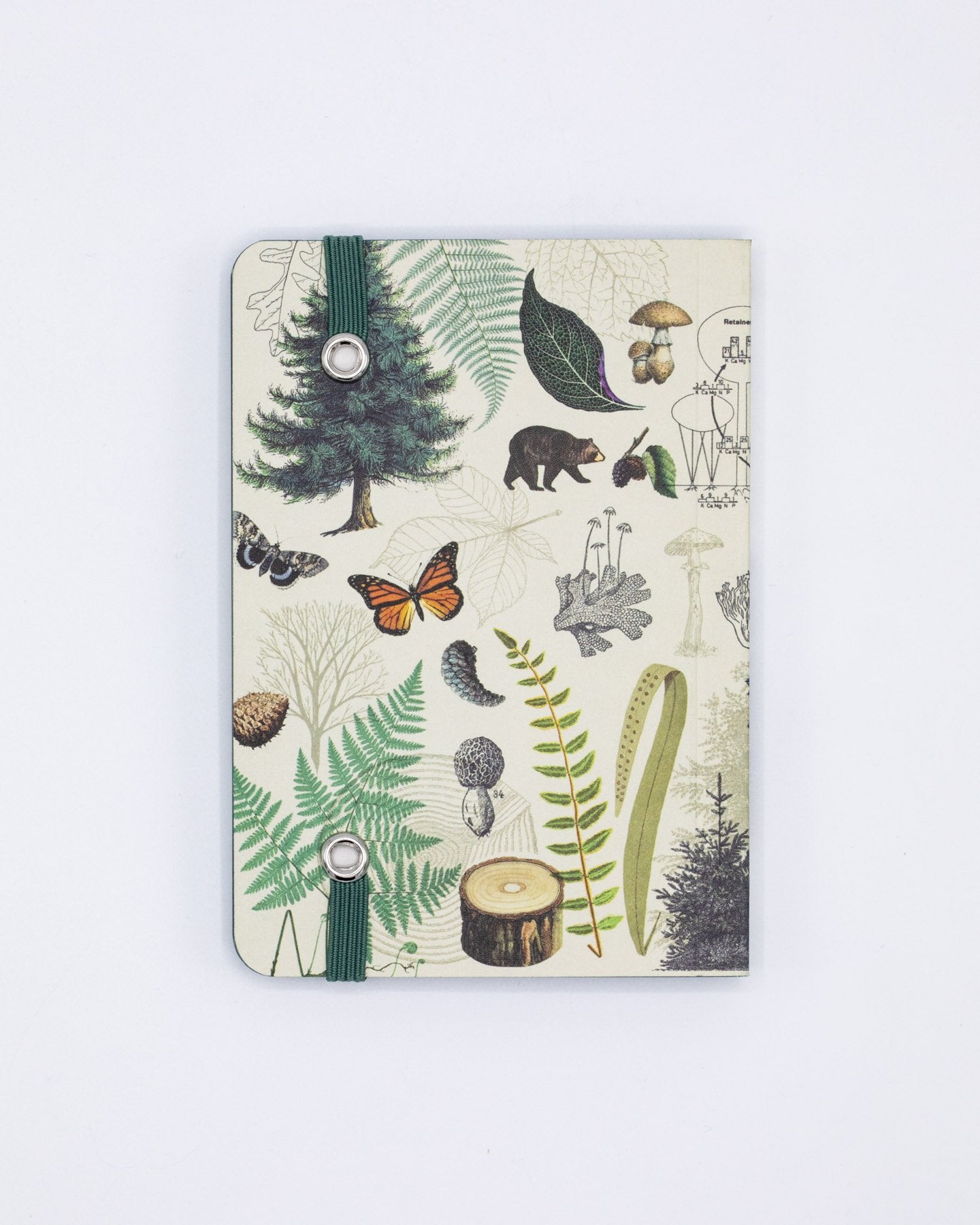 Into the Forest Observation Mini Softcover Notebook