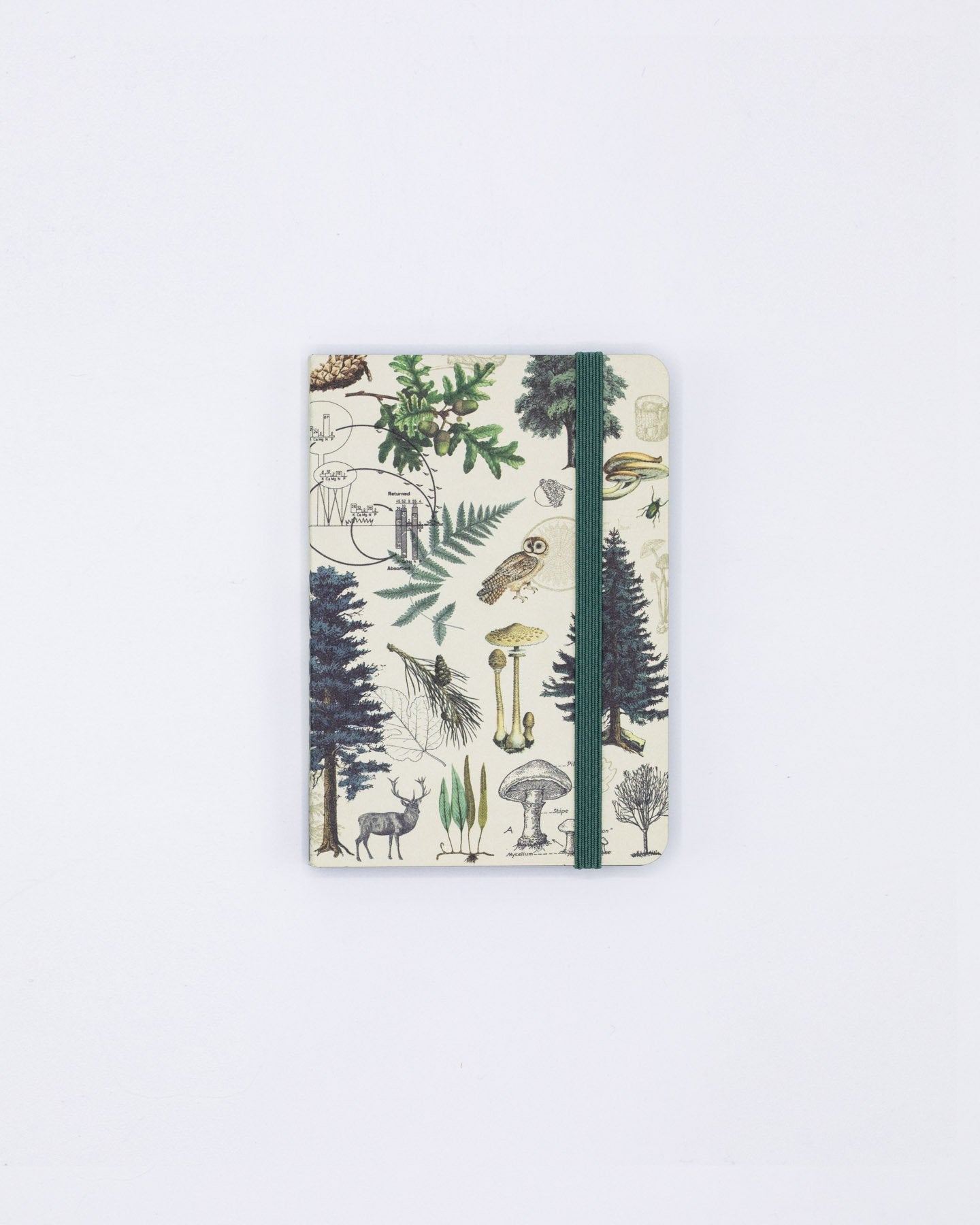Into the Forest Observation Mini Softcover Notebook