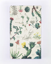 Planificateur annuel de plantes succulentes