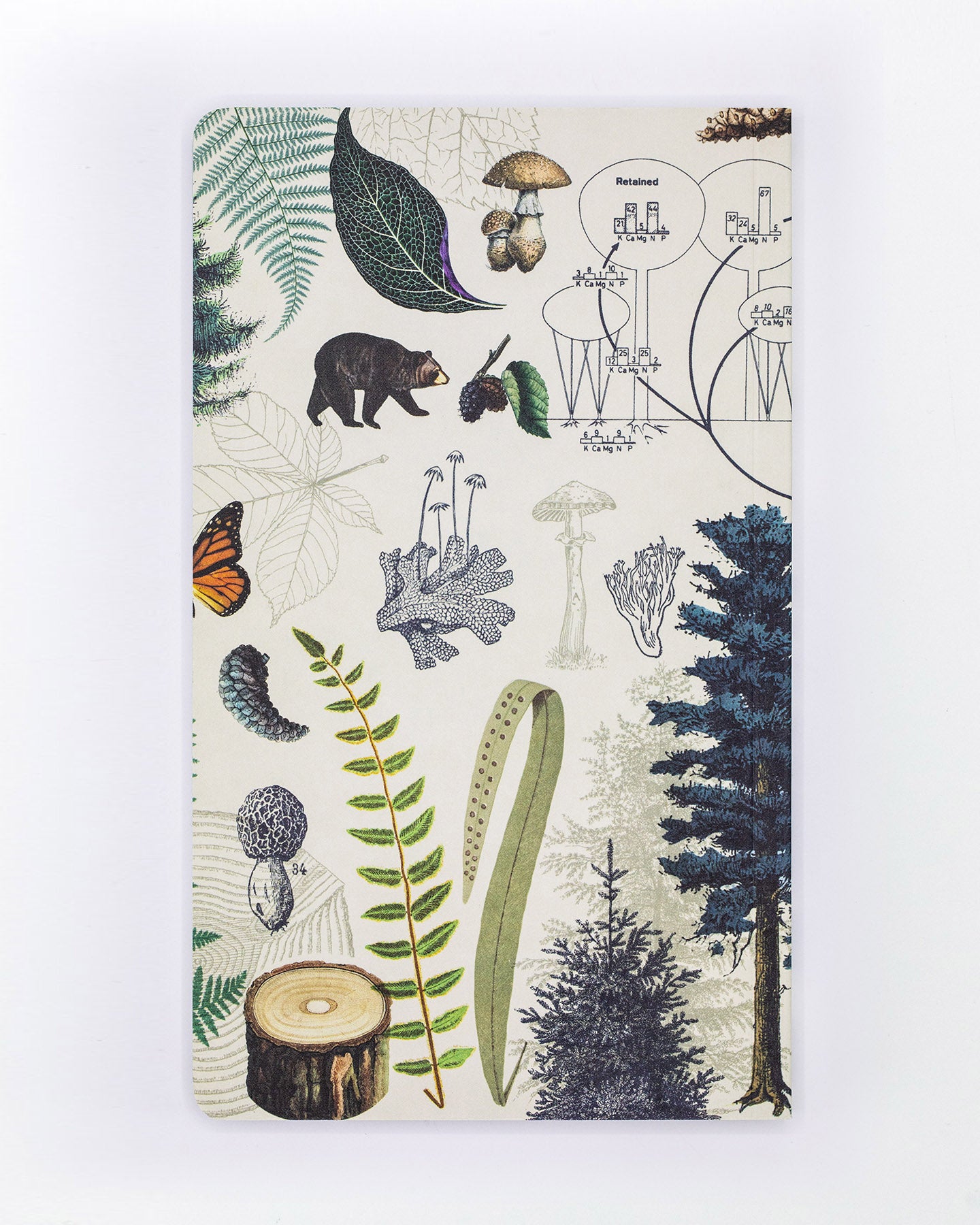 Woodland Forest Yearly Planner