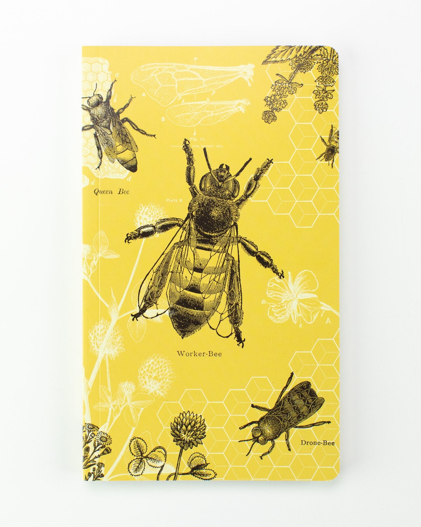 Agenda annuel des abeilles