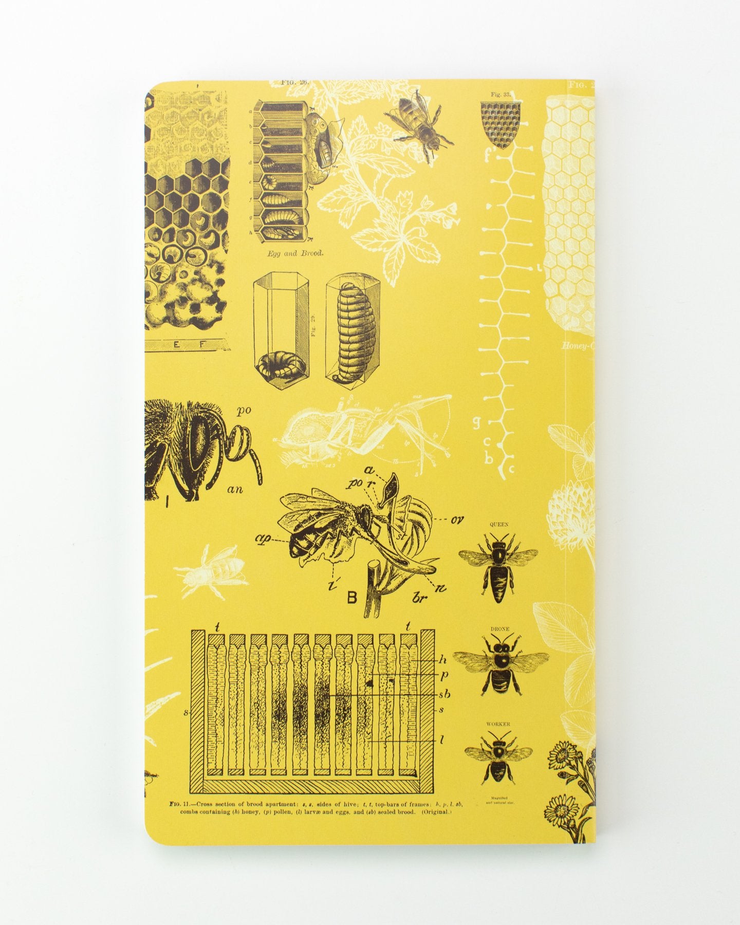 Agenda annuel des abeilles