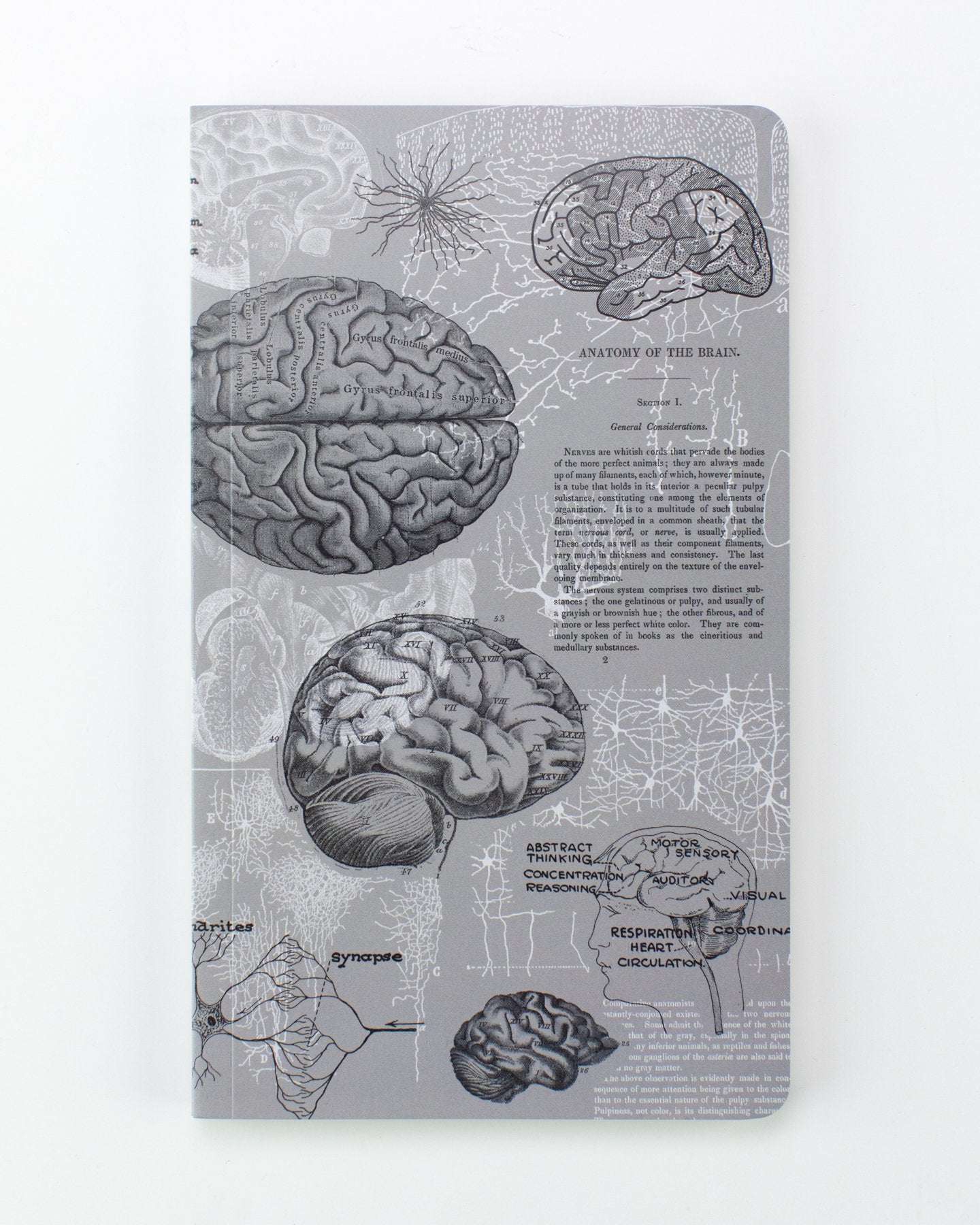 Brain Anatomy Yearly Planner