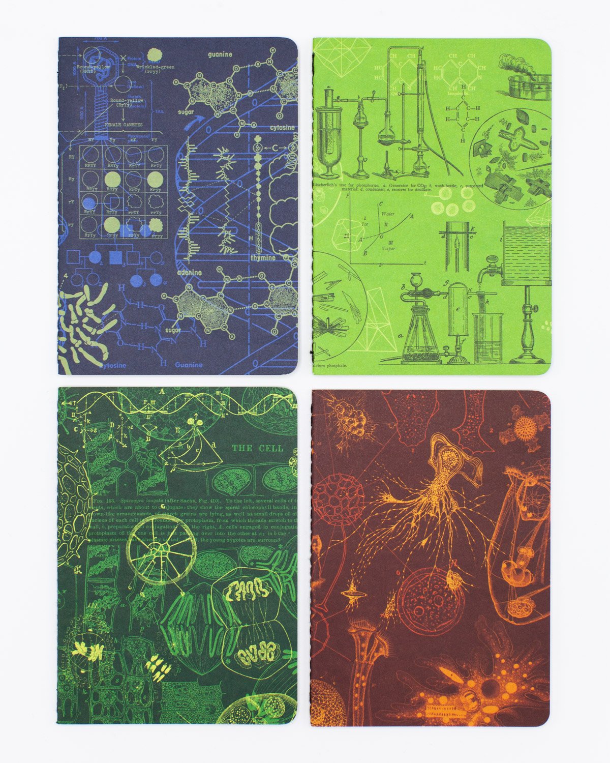 Science Lab Pocket Notebooks Set of 4 | Microbiologist – Cognitive ...