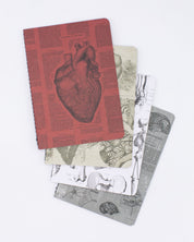 Cuaderno de bolsillo Anatomy, paquete de 4