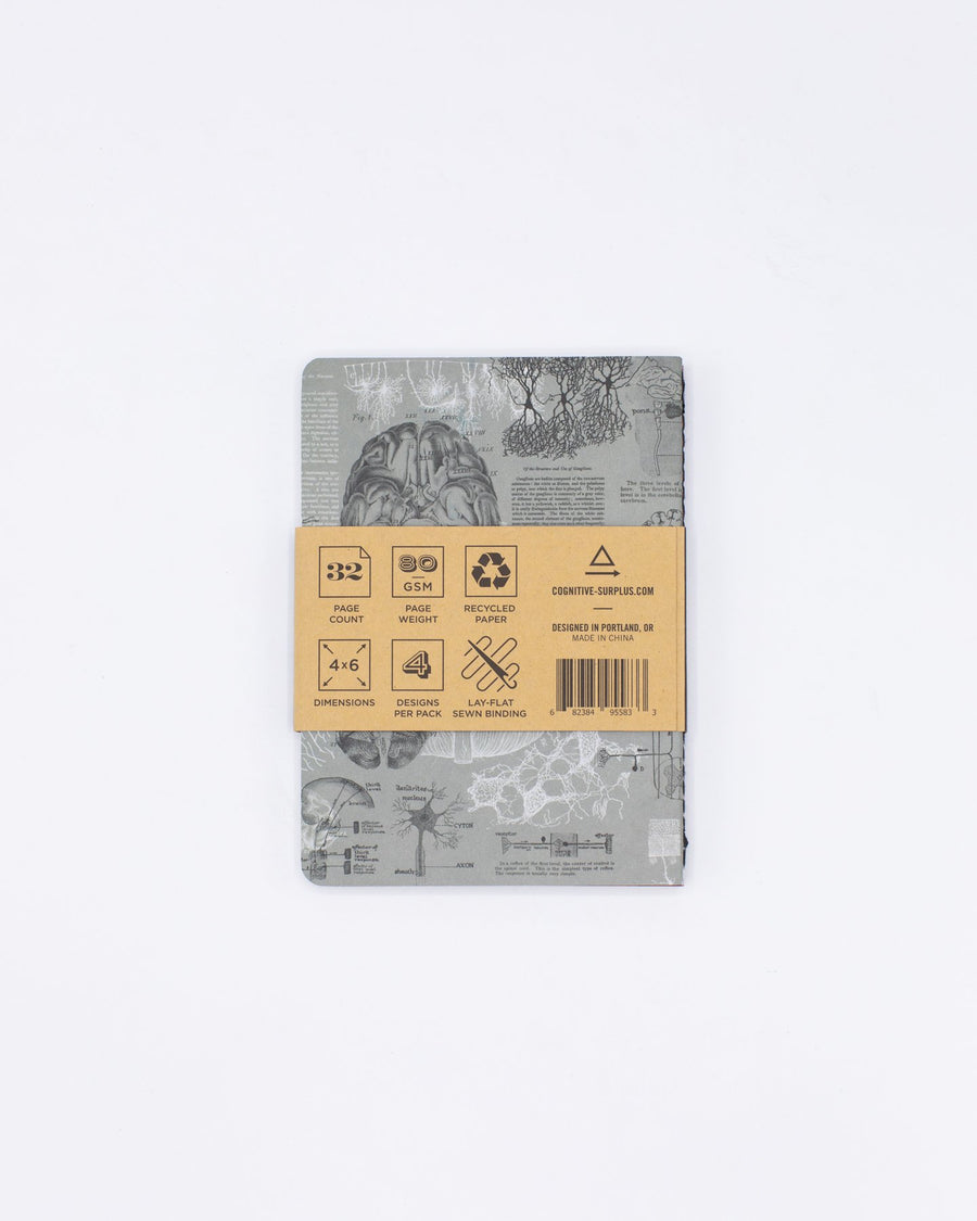 Notebooks – Cognitive Surplus Global
