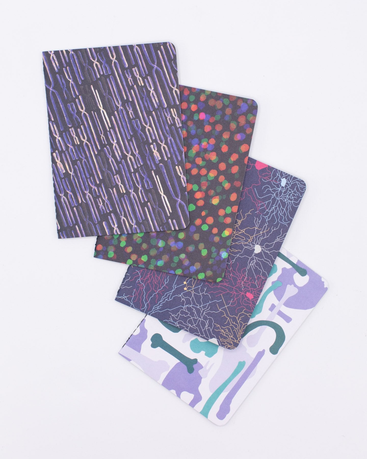 Anatomy Pocket Notebooks Set of 4 – Cognitive Surplus Global