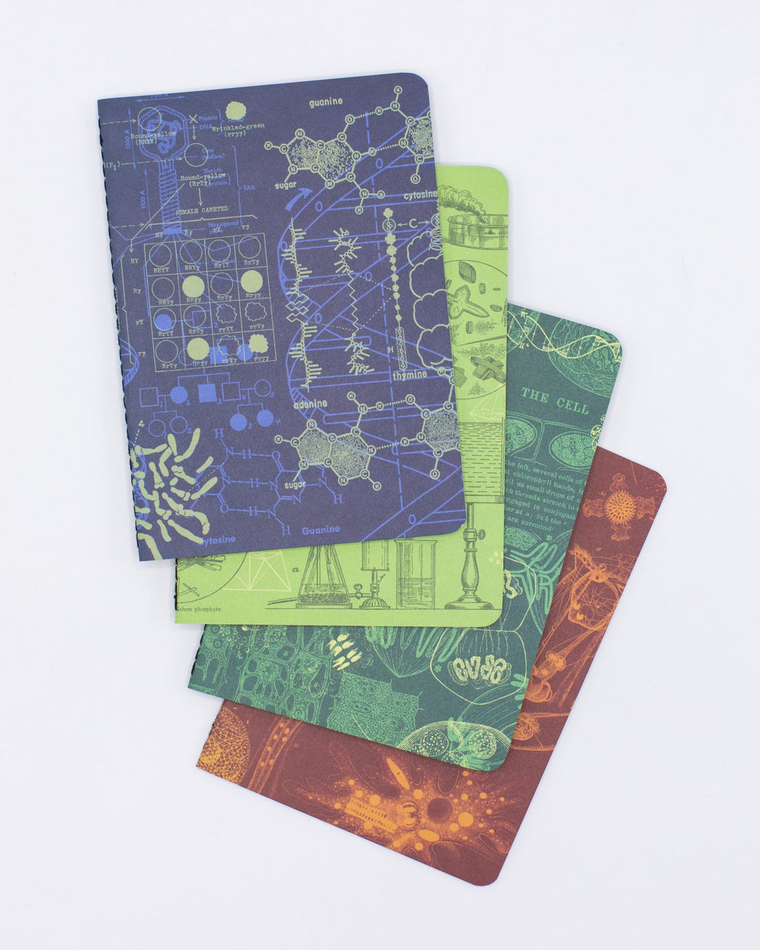 Notebooks – Cognitive Surplus Global