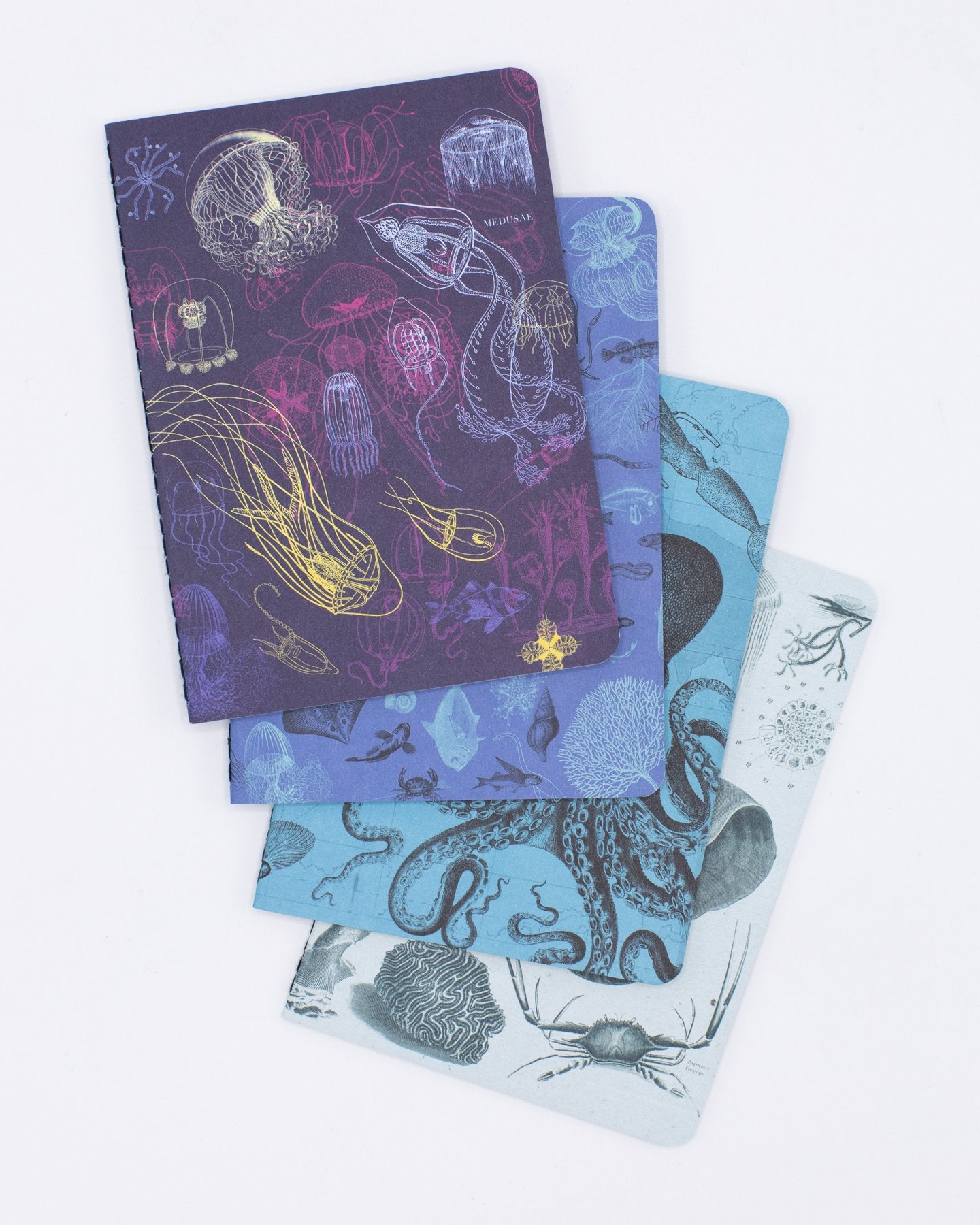 Pack de 4 carnets de poche sur la biologie marine