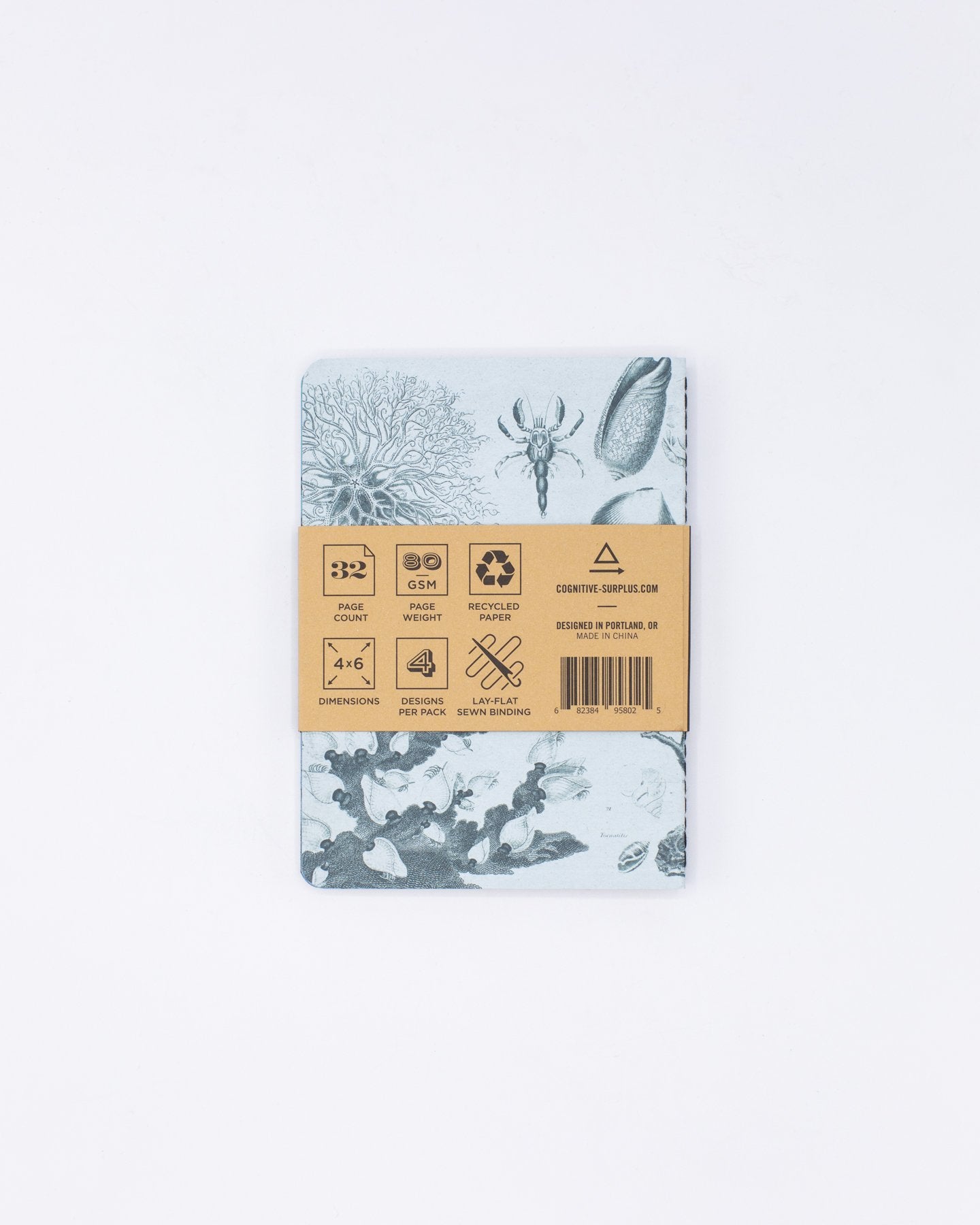 Pack de 4 carnets de poche sur la biologie marine