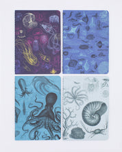 Pack de 4 carnets de poche sur la biologie marine