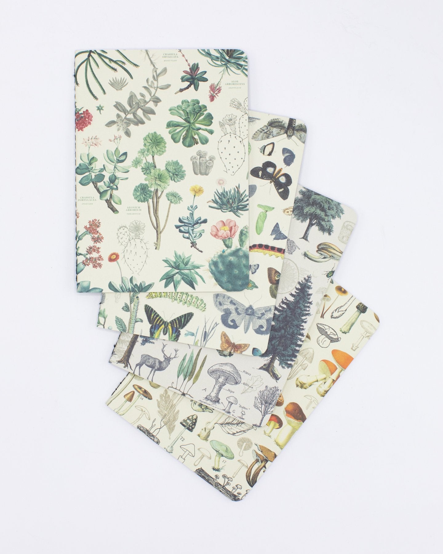 Nature Pocket Notebook 4-pack