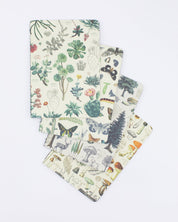 Nature Pocket Notebook 4-pack