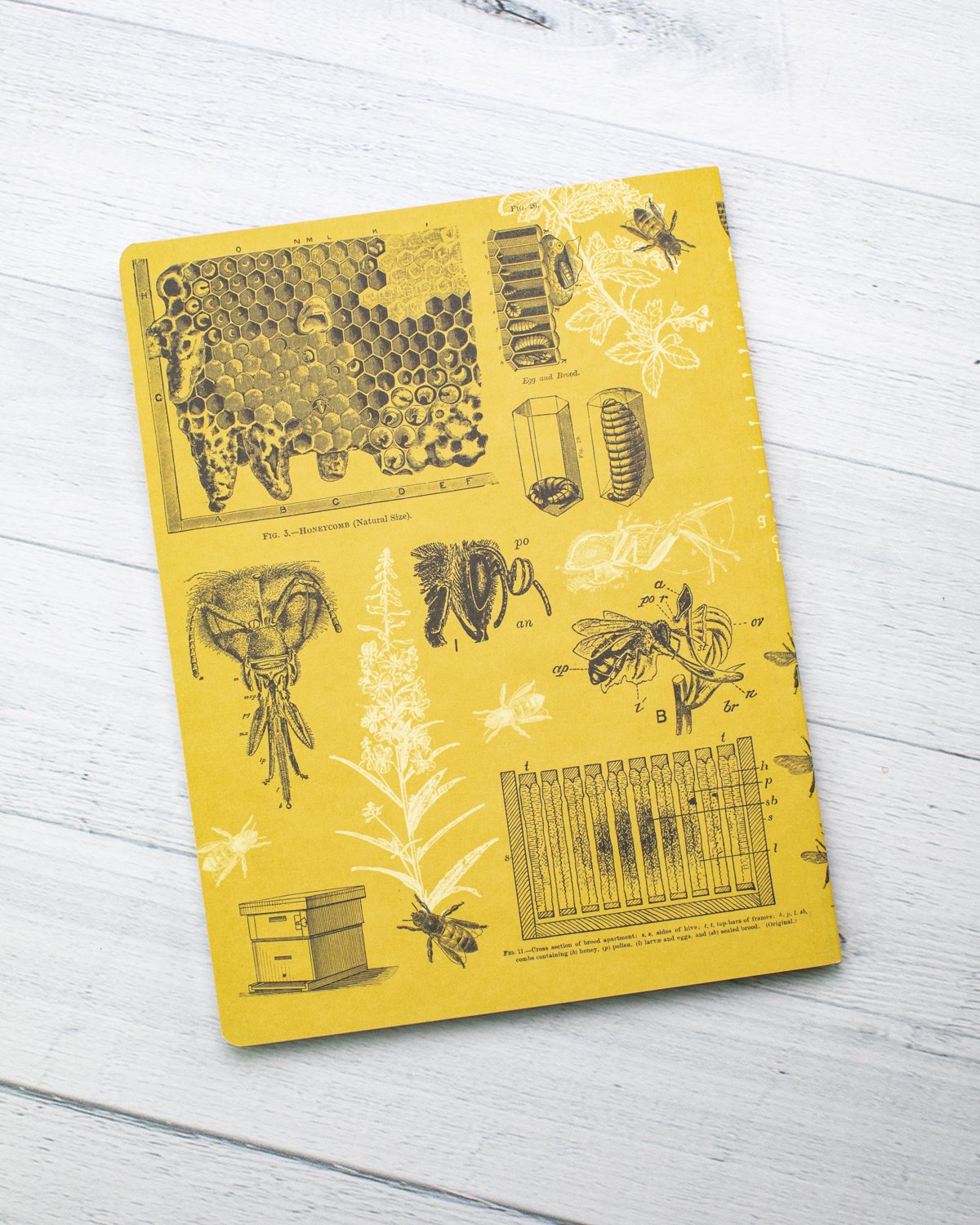 Bees Softcover - Lined - Cognitive Surplus