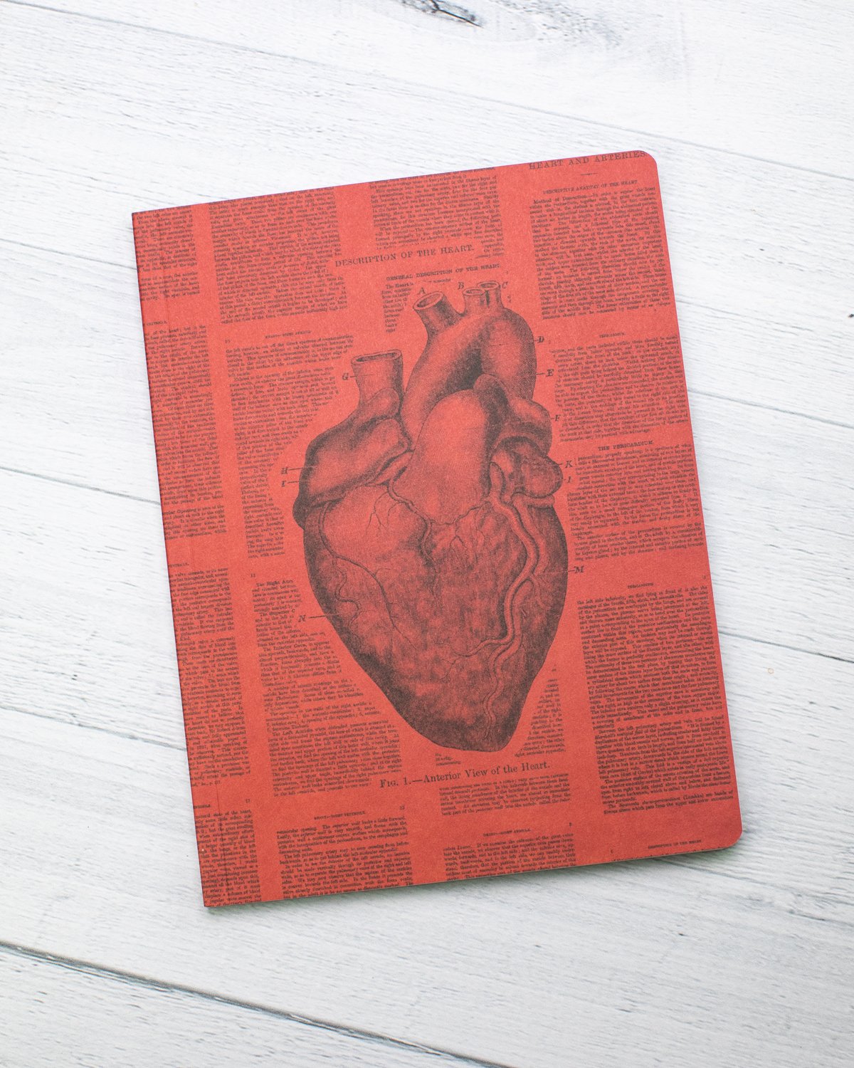 Anatomical Heart Softcover - Lined - Cognitive Surplus