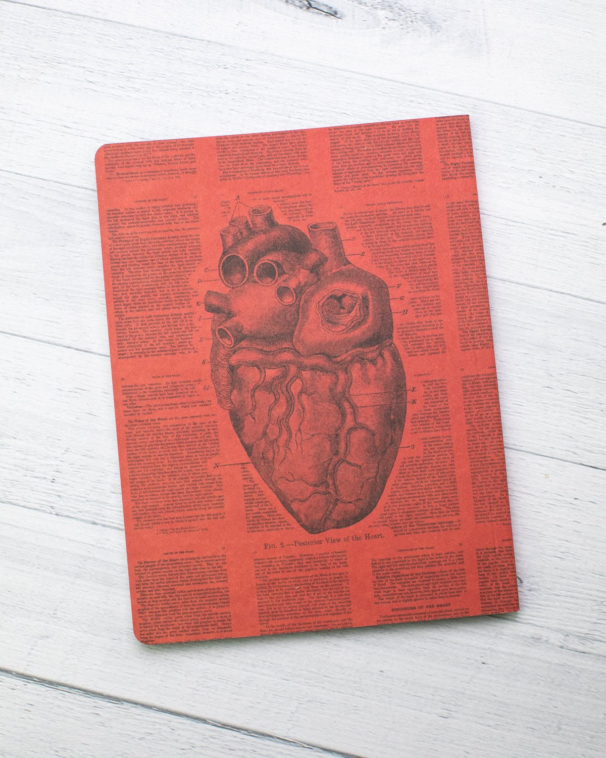 Anatomical Heart Softcover - Lined - Cognitive Surplus