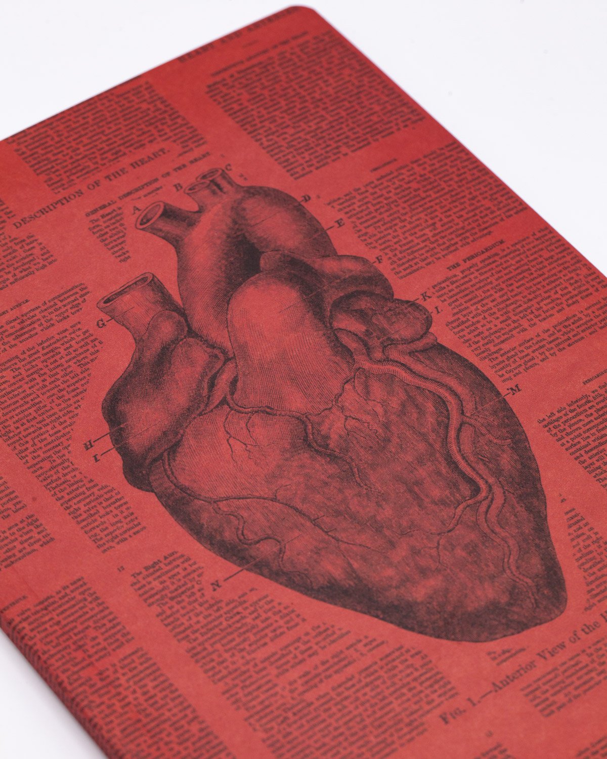 Anatomical Heart Softcover - Lined - Cognitive Surplus