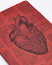 Anatomical Heart Softcover - Lined - Cognitive Surplus