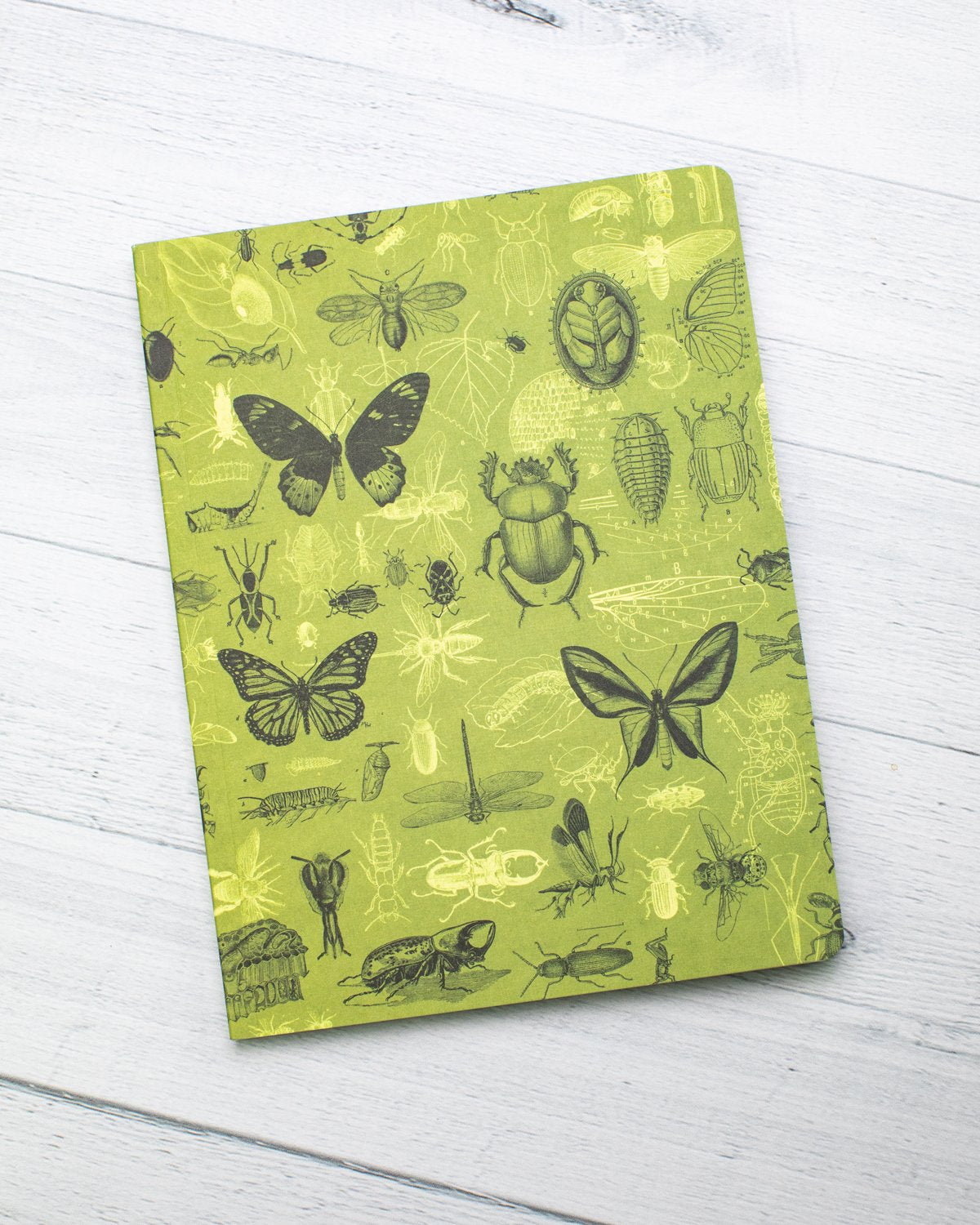 Insects Butterflies & Beetles Softcover Notebook - Dot Grid