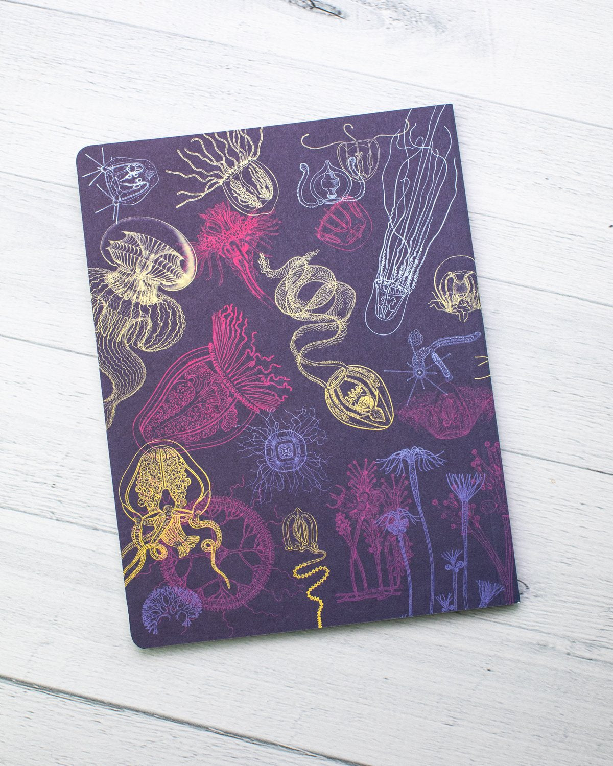 Jellyfish Softcover Notebook - Lined