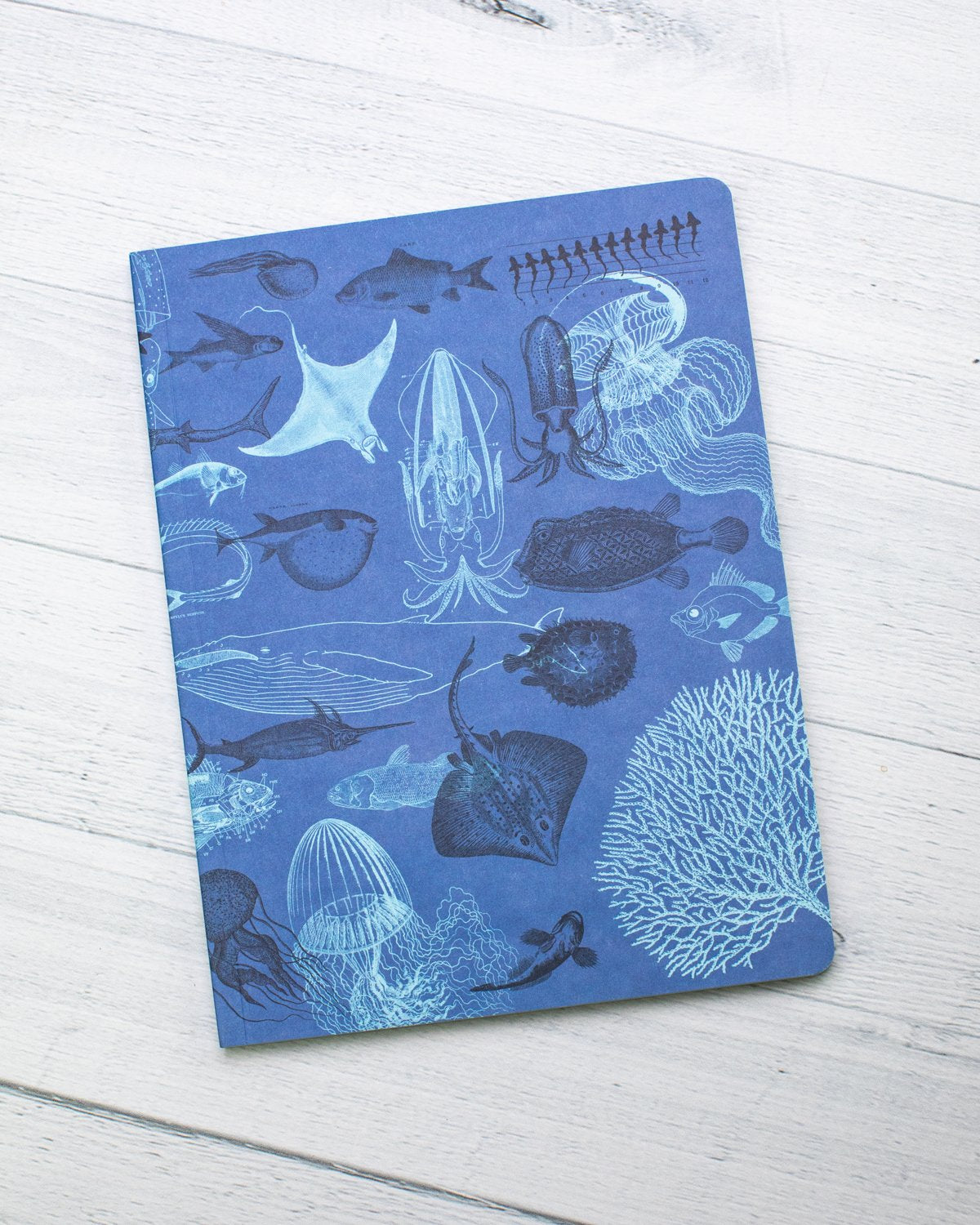Marine Animals Softcover Notebook - Lined