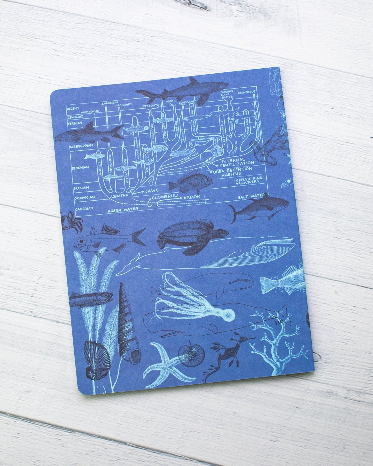 Marine Animals Softcover Notebook - Lined