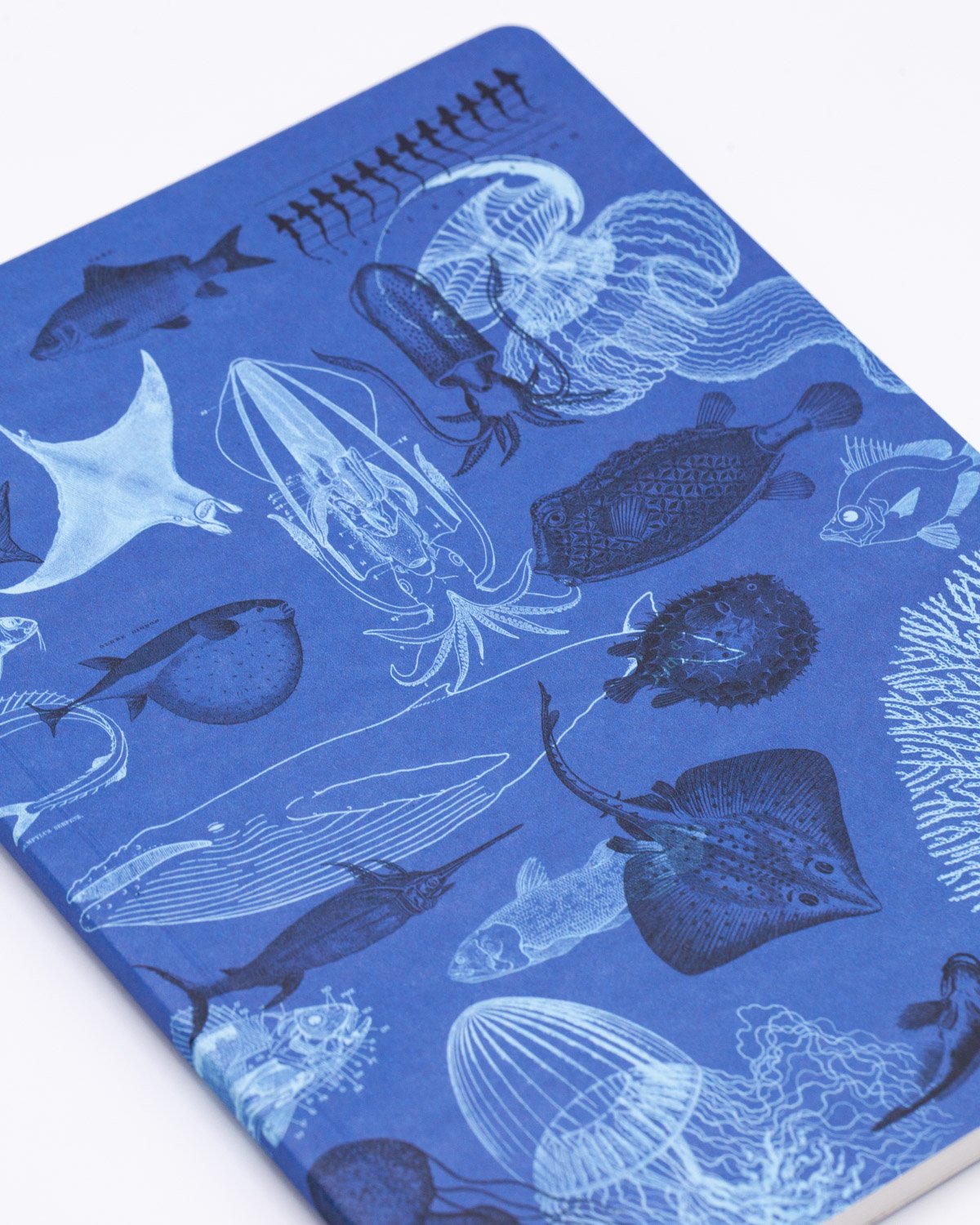 Marine Animals Softcover Notebook - Lined