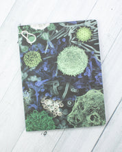 Infectious Disease Softcover Notebook - Lined