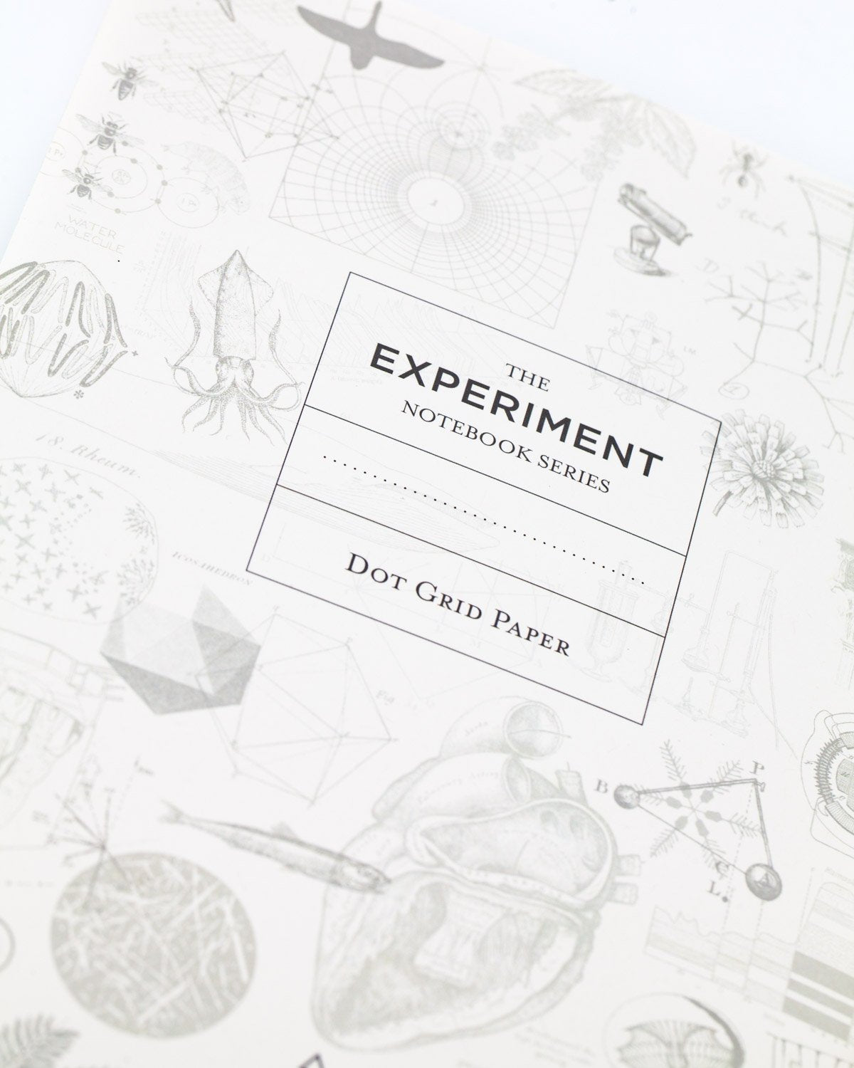 Medicinal Botany Softcover Notebook - Dot Grid