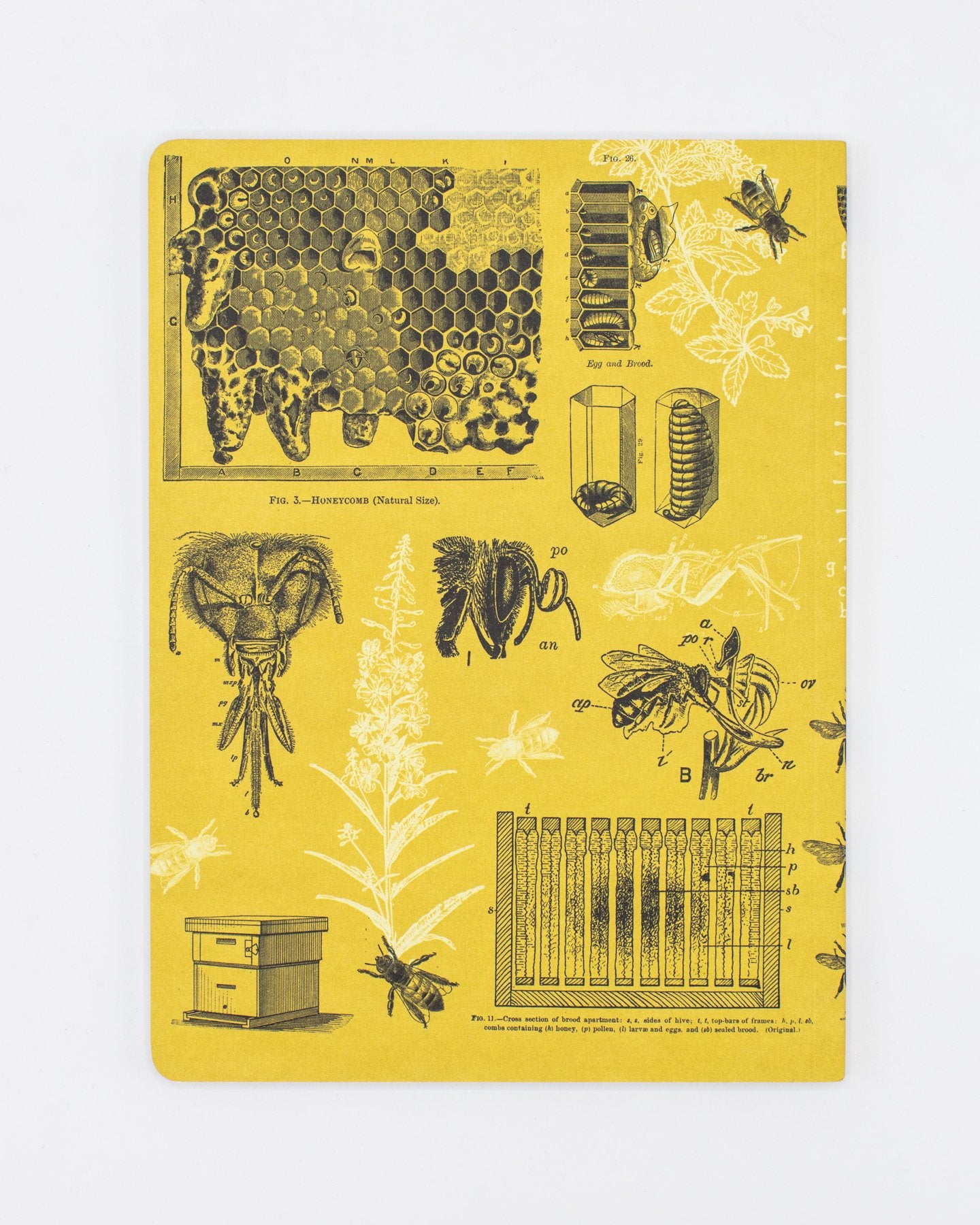 Bienen Softcover - Gefüttert