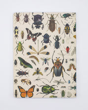 Insect Softcover Notebook - Dot Grid