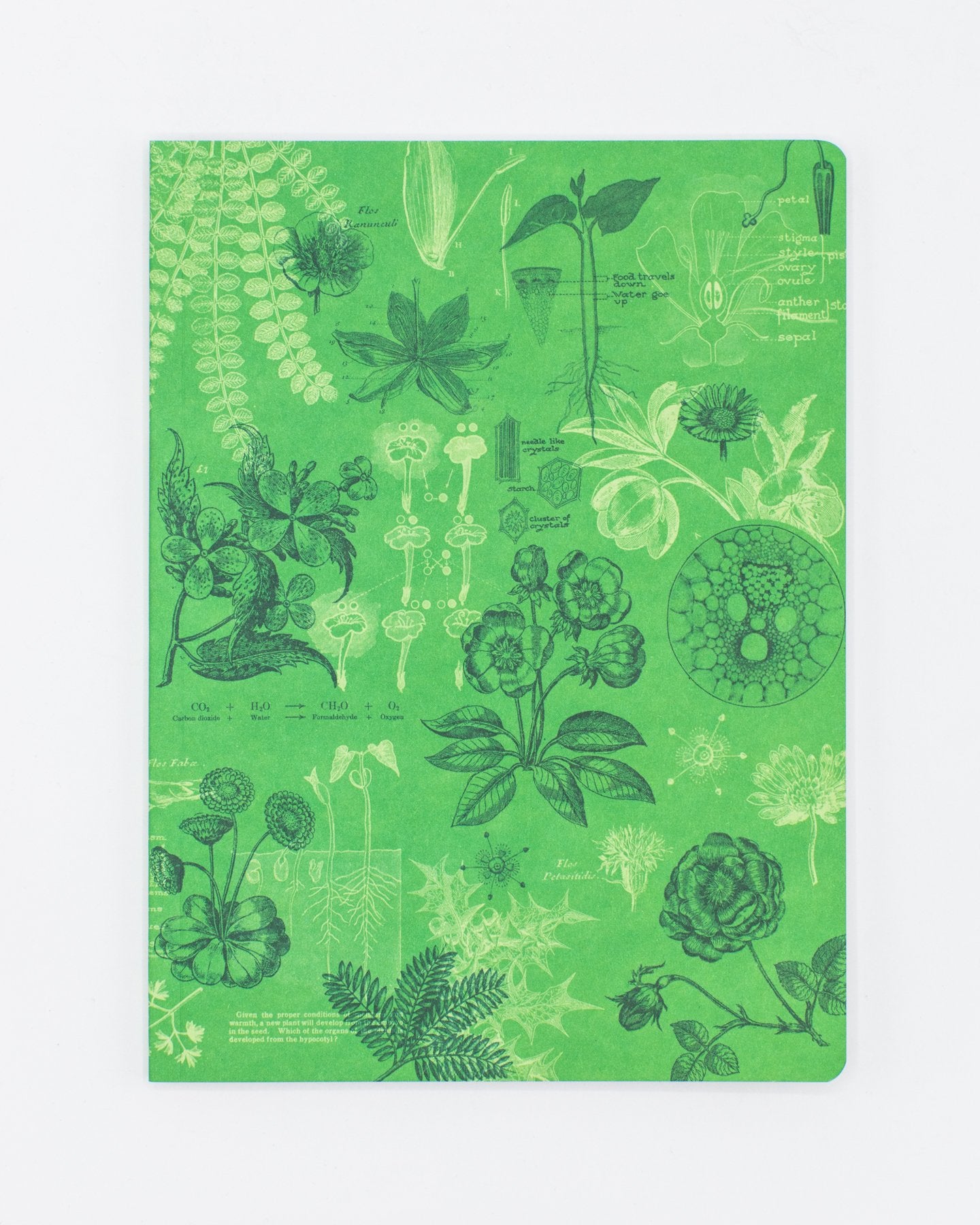 Botanical Print Softcover Notebook | Recycled Notebook – Cognitive ...