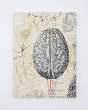 Brain & Neuroscience Softcover Notebook - Lined