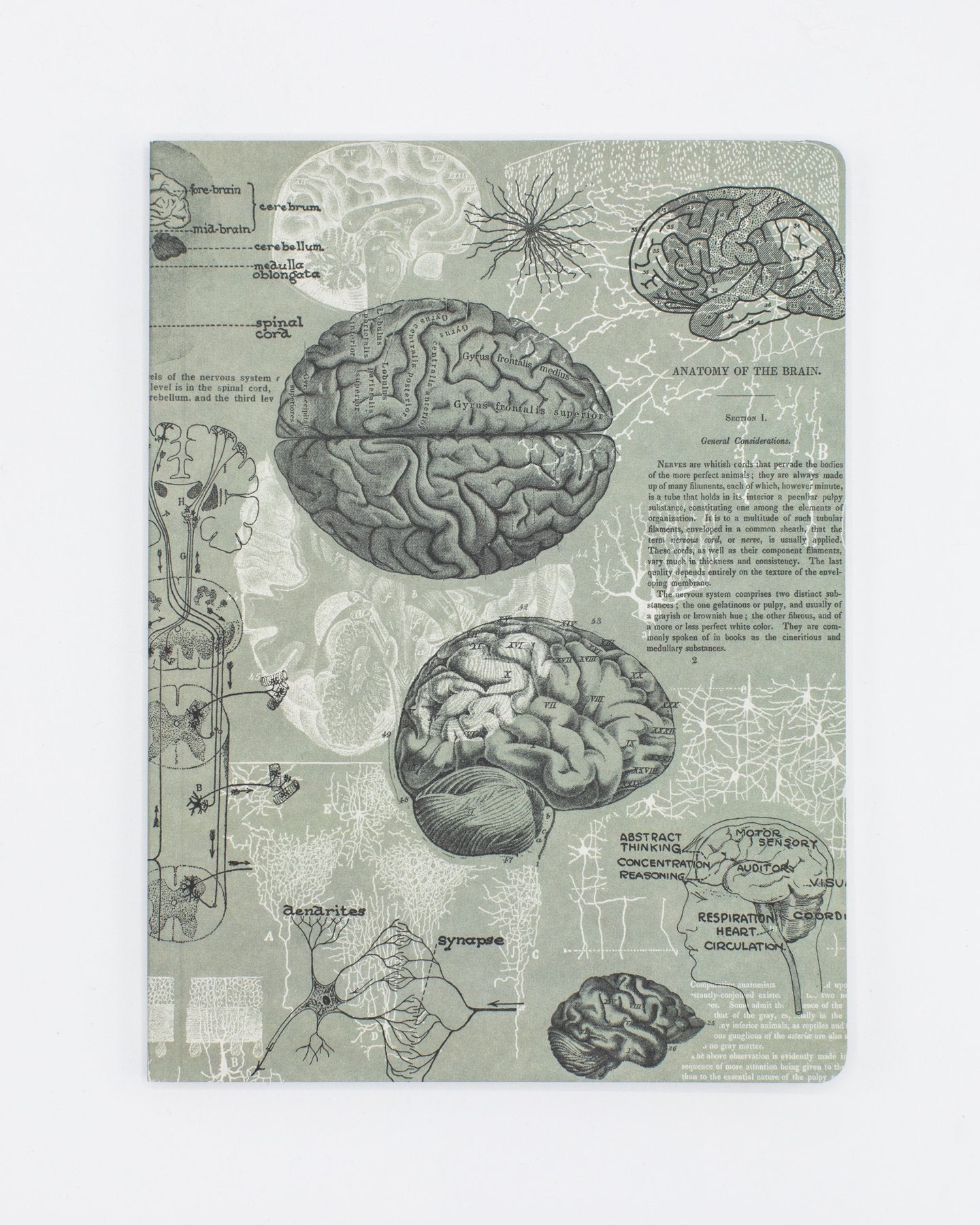 Brain Softcover Notebook - Dot Grid