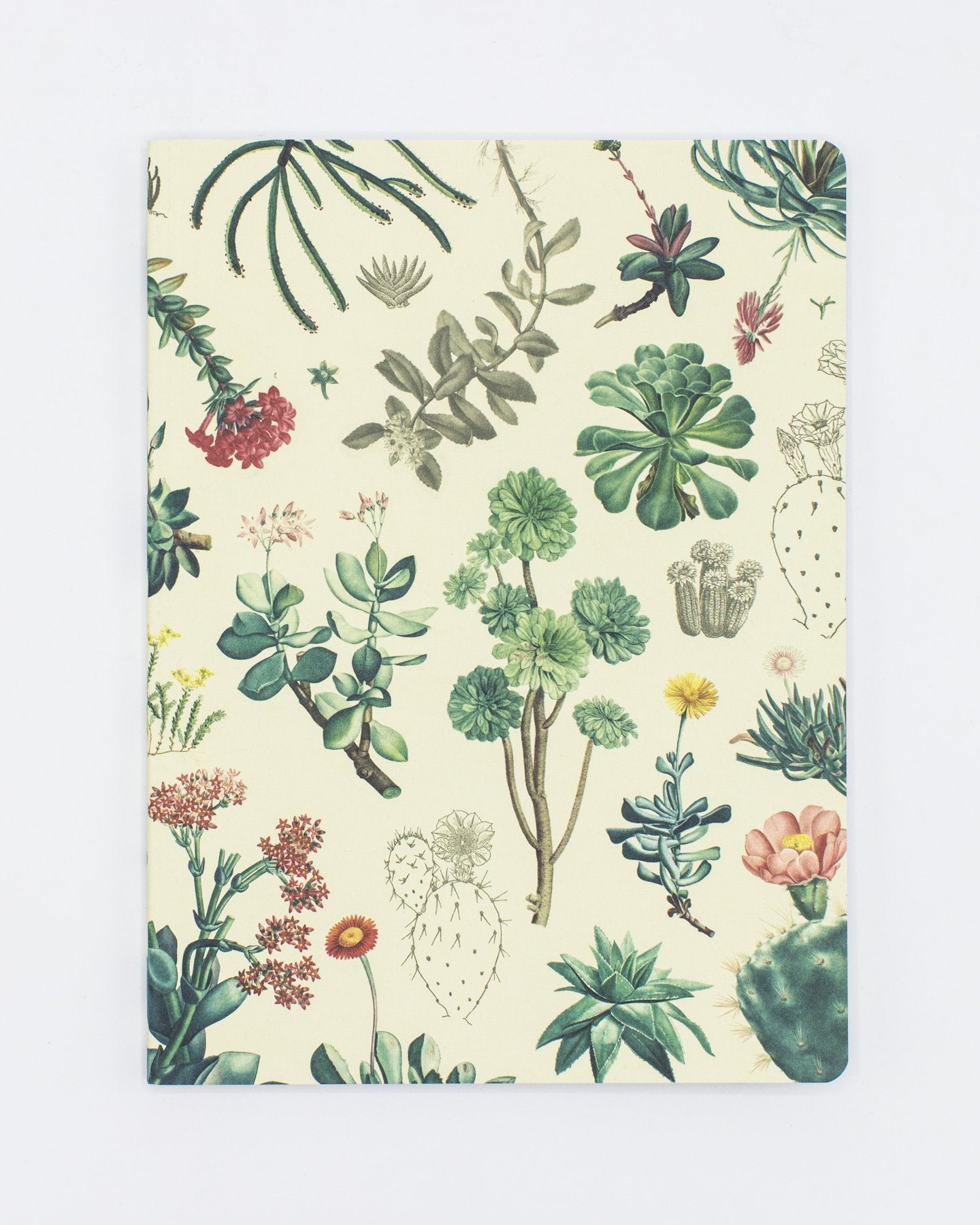 Succulents Softcover Notebook - Lined