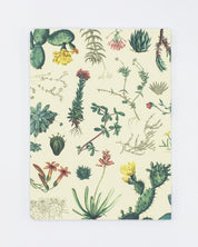 Succulents Softcover Notebook - Lined