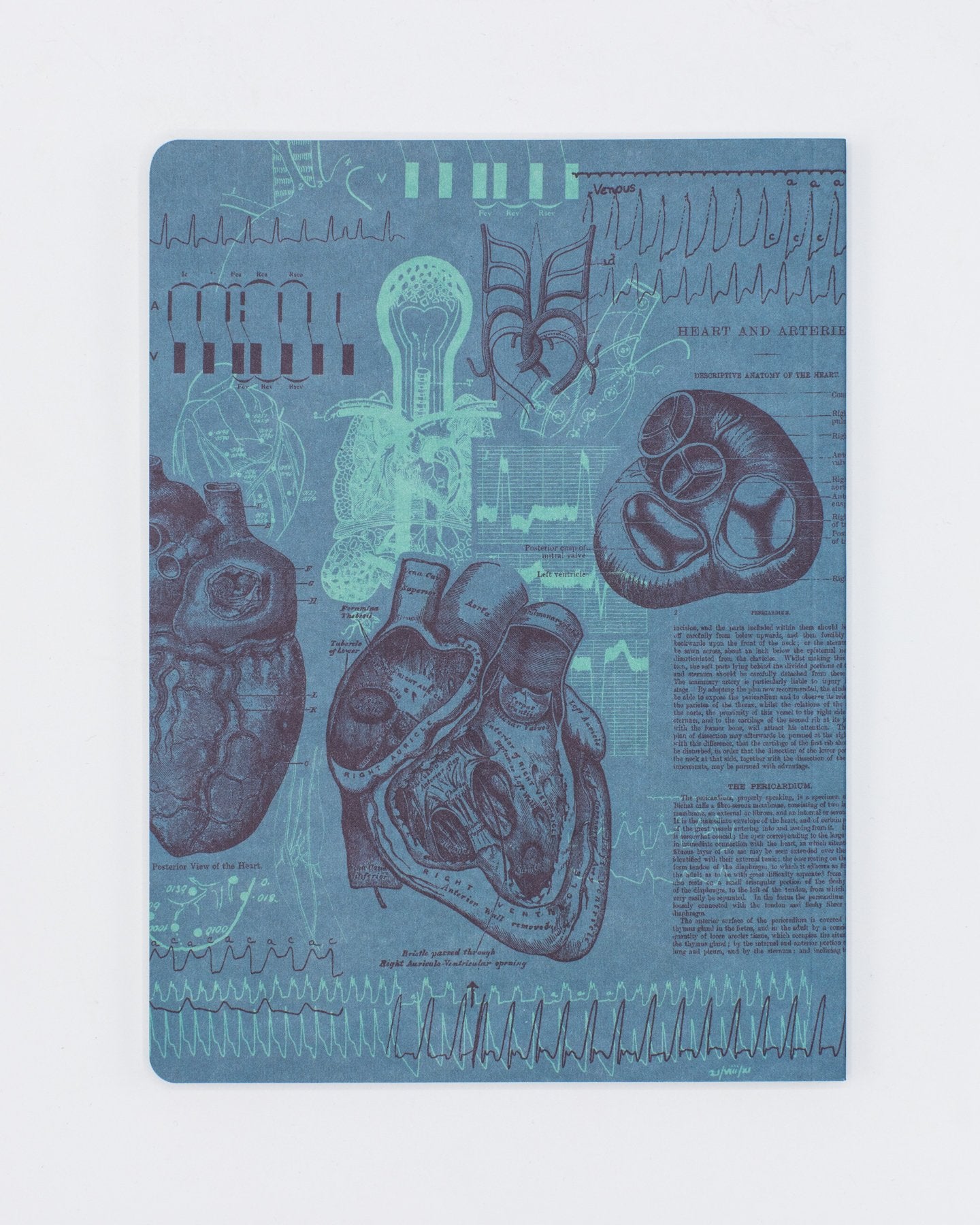 Cardiologie Couverture souple - Grille de points